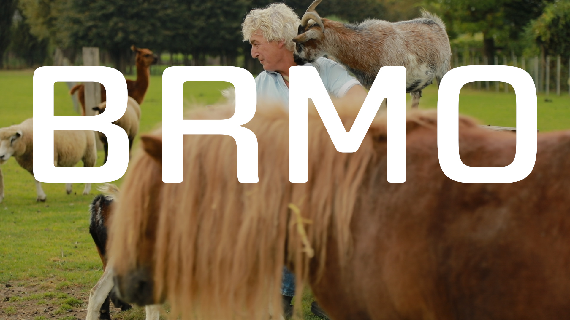 Bekijk de video: BRMO