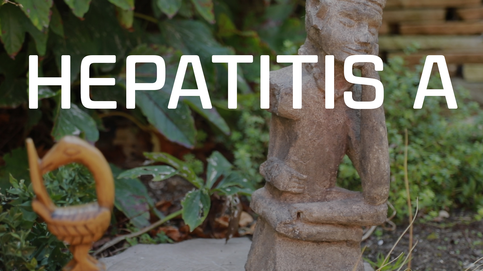 Bekijk de video: Hepatitis A