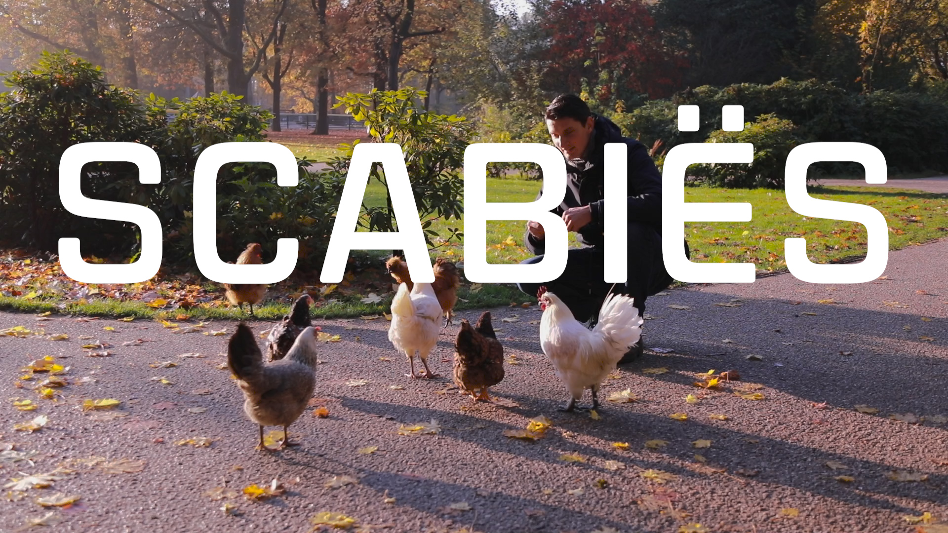 Bekijk de video: Scabiës