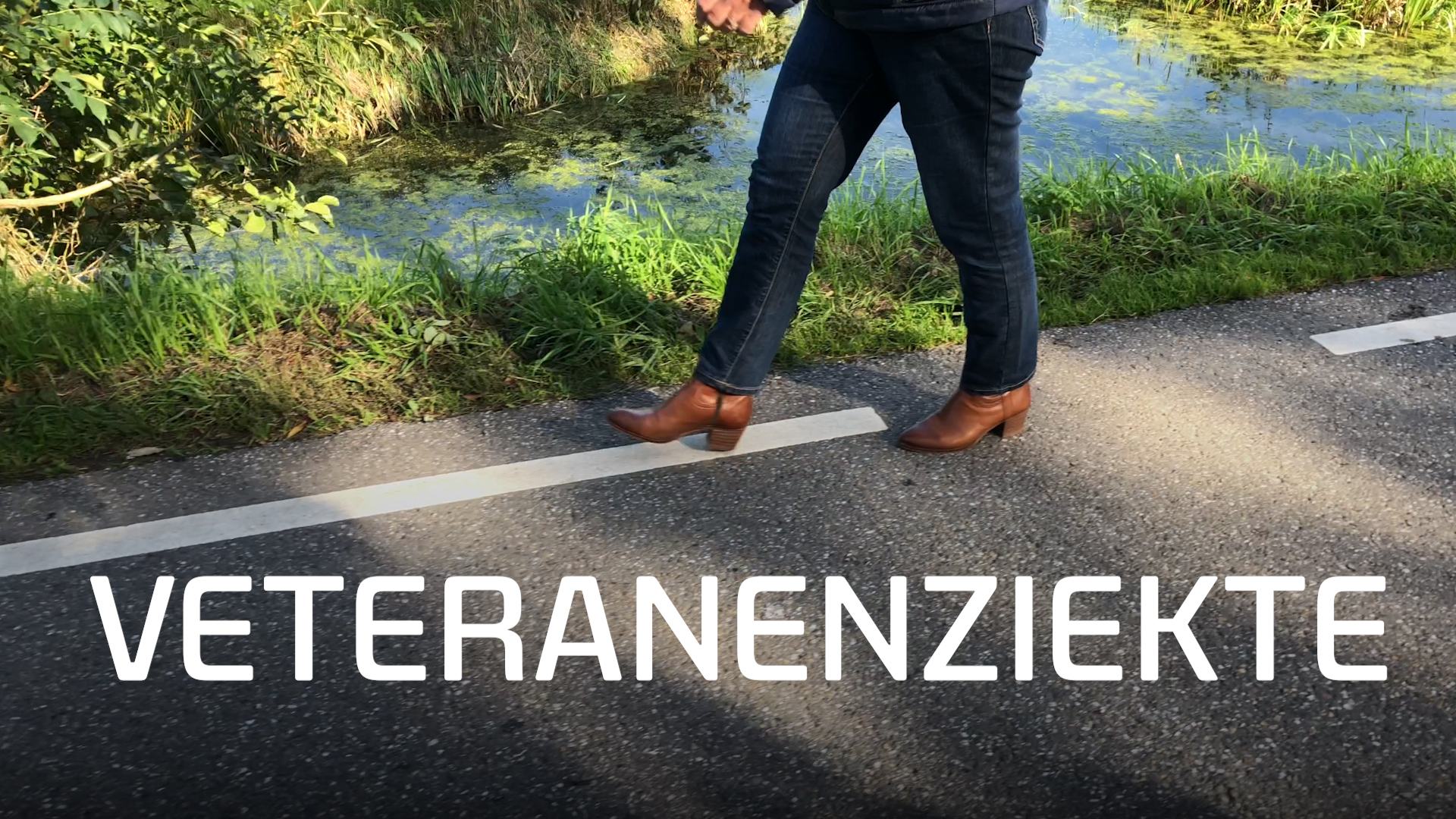 Bekijk de video: Veteranenziekte